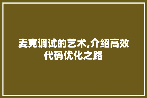 麦克调试的艺术,介绍高效代码优化之路 服务器/数据库
