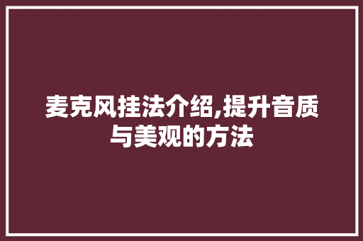 麦克风挂法介绍,提升音质与美观的方法 服务器/数据库