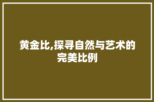 黄金比,探寻自然与艺术的完美比例