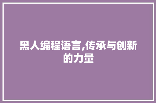 黑人编程语言,传承与创新的力量 Web前端