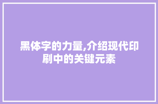 黑体字的力量,介绍现代印刷中的关键元素 建站教程
