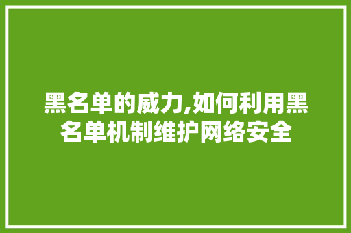 黑名单的威力,如何利用黑名单机制维护网络安全 建站教程