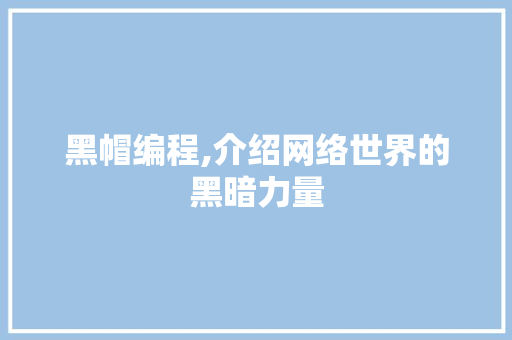 黑帽编程,介绍网络世界的黑暗力量 SEO教程