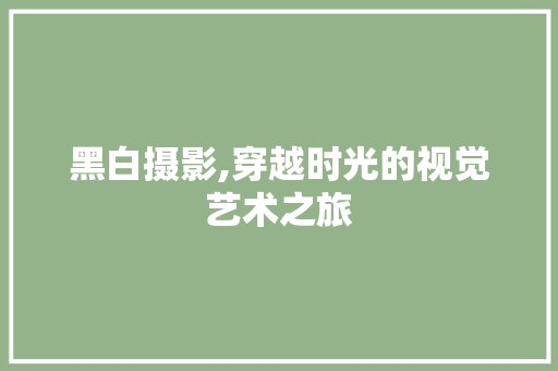 黑白摄影,穿越时光的视觉艺术之旅 建站教程