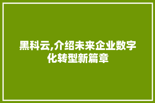 黑科云,介绍未来企业数字化转型新篇章