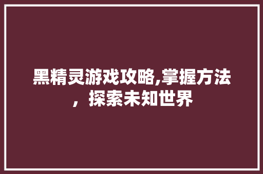 黑精灵游戏攻略,掌握方法，探索未知世界 Web前端