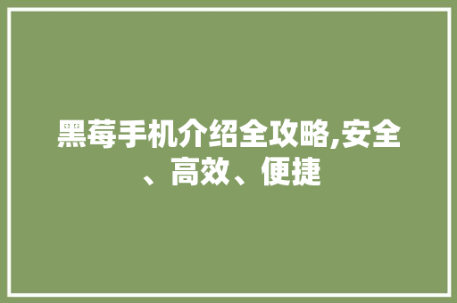 黑莓手机介绍全攻略,安全、高效、便捷
