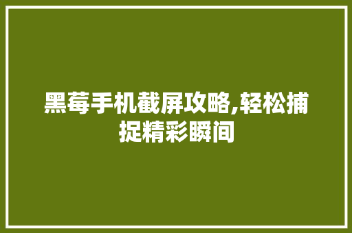 黑莓手机截屏攻略,轻松捕捉精彩瞬间