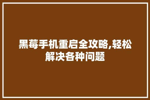黑莓手机重启全攻略,轻松解决各种问题