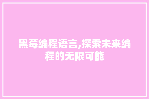 黑莓编程语言,探索未来编程的无限可能 SEO教程