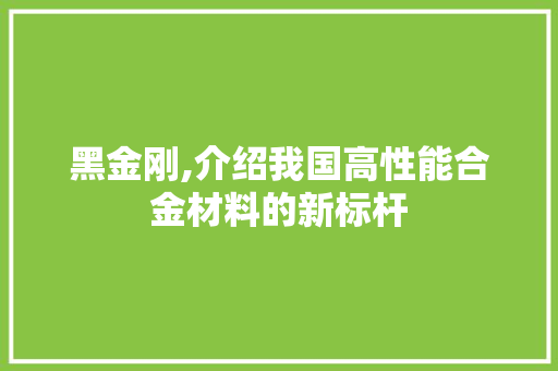 黑金刚,介绍我国高性能合金材料的新标杆 WordPress教程