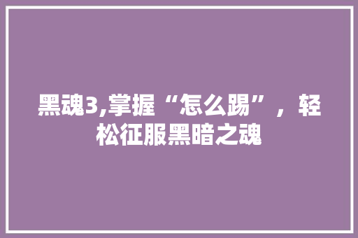 黑魂3,掌握“怎么踢”，轻松征服黑暗之魂