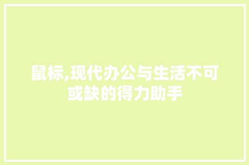 鼠标,现代办公与生活不可或缺的得力助手