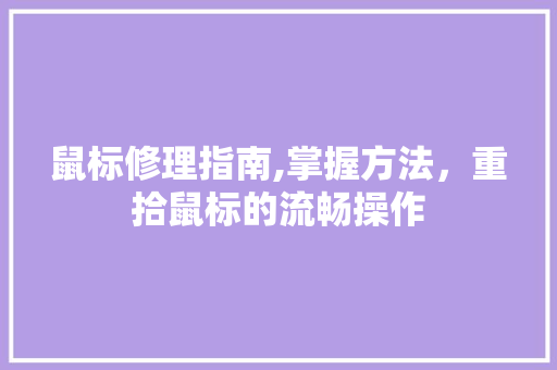 鼠标修理指南,掌握方法，重拾鼠标的流畅操作 SEO教程