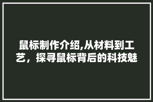 鼠标制作介绍,从材料到工艺，探寻鼠标背后的科技魅力 建站教程