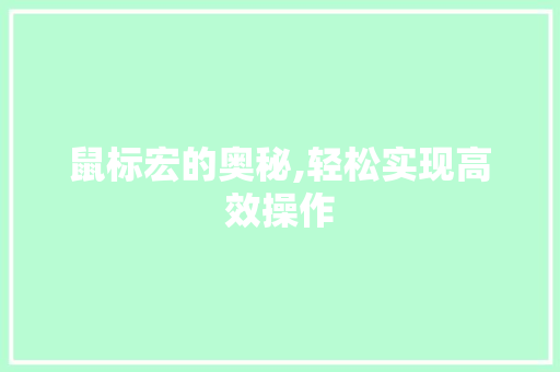 鼠标宏的奥秘,轻松实现高效操作