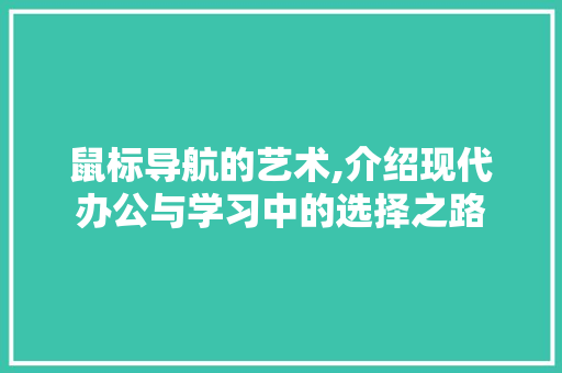 鼠标导航的艺术,介绍现代办公与学习中的选择之路