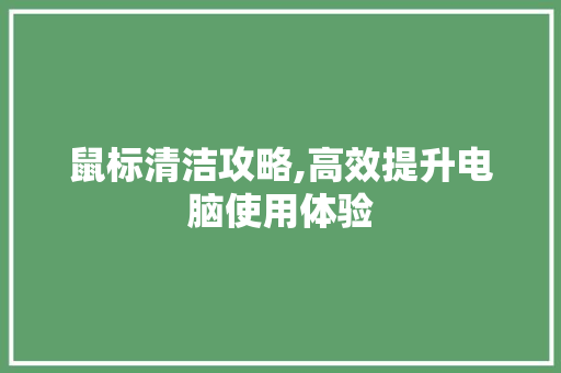 鼠标清洁攻略,高效提升电脑使用体验 建站教程