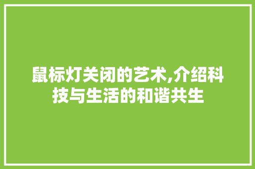 鼠标灯关闭的艺术,介绍科技与生活的和谐共生 建站教程