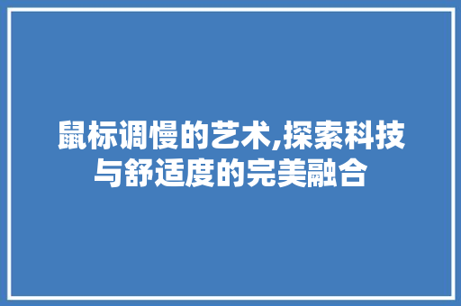 鼠标调慢的艺术,探索科技与舒适度的完美融合 WordPress教程