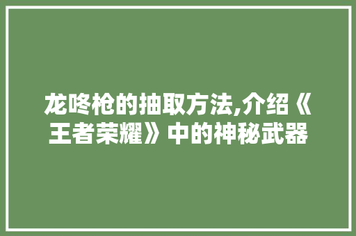龙咚枪的抽取方法,介绍《王者荣耀》中的神秘武器 WordPress教程
