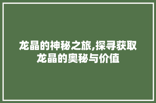 龙晶的神秘之旅,探寻获取龙晶的奥秘与价值
