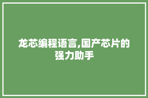 龙芯编程语言,国产芯片的强力助手