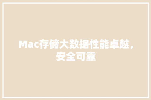 Mac存储大数据性能卓越，安全可靠 友链在线