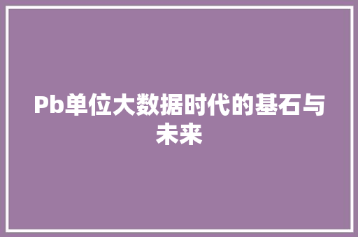 Pb单位大数据时代的基石与未来