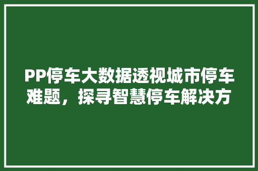 PP停车大数据透视城市停车难题，探寻智慧停车解决方法