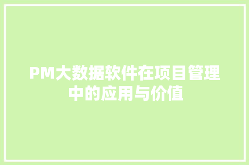 PM大数据软件在项目管理中的应用与价值