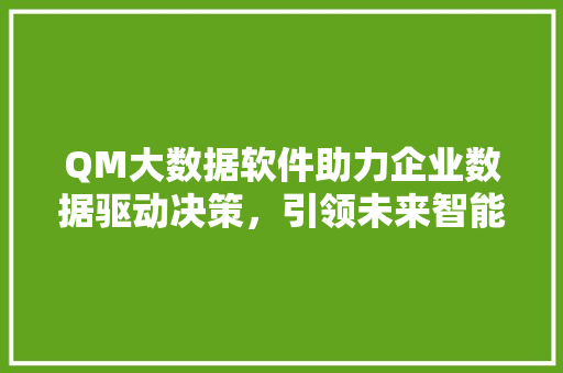 QM大数据软件助力企业数据驱动决策，引领未来智能化发展