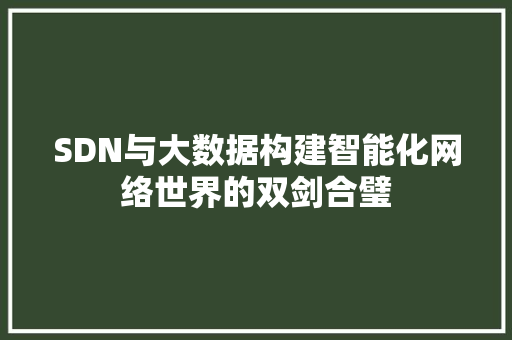 SDN与大数据构建智能化网络世界的双剑合璧