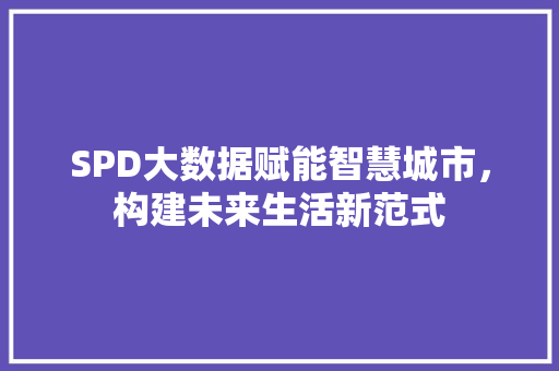 SPD大数据赋能智慧城市，构建未来生活新范式