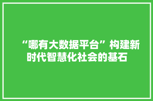 “哪有大数据平台”构建新时代智慧化社会的基石