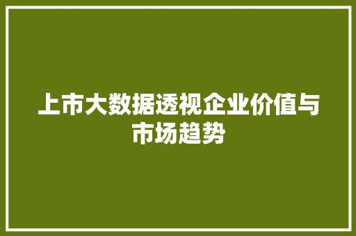 上市大数据透视企业价值与市场趋势 WordPress教程