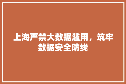 上海严禁大数据滥用，筑牢数据安全防线 建站教程