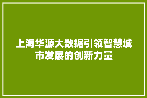 上海华源大数据引领智慧城市发展的创新力量 SEO教程