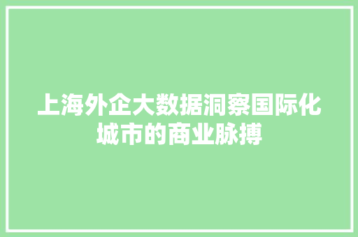 上海外企大数据洞察国际化城市的商业脉搏 WordPress教程