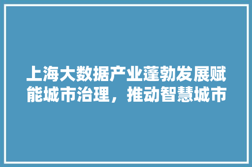 上海大数据产业蓬勃发展赋能城市治理，推动智慧城市建设