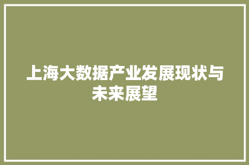 上海大数据产业发展现状与未来展望 建站教程