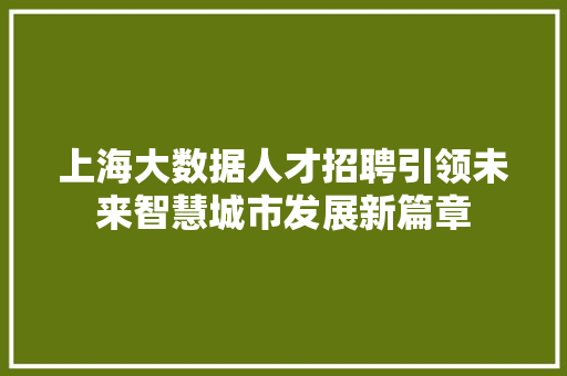 上海大数据人才招聘引领未来智慧城市发展新篇章 SEO教程