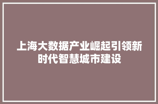 上海大数据产业崛起引领新时代智慧城市建设 友链在线
