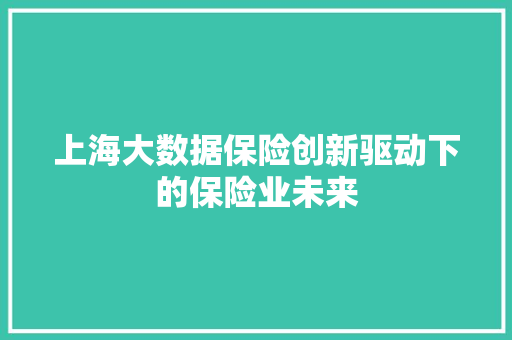 上海大数据保险创新驱动下的保险业未来 SEO教程