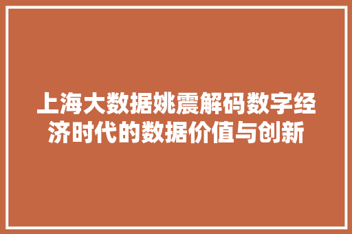 上海大数据姚震解码数字经济时代的数据价值与创新 SEO教程