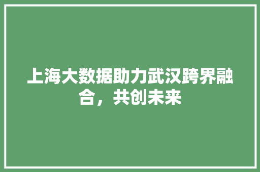 上海大数据助力武汉跨界融合，共创未来