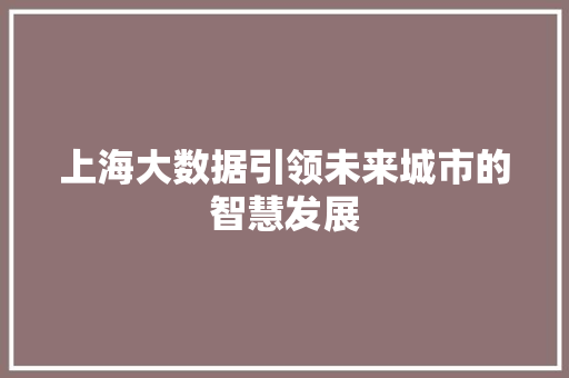 上海大数据引领未来城市的智慧发展