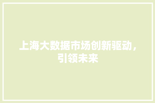 上海大数据市场创新驱动，引领未来