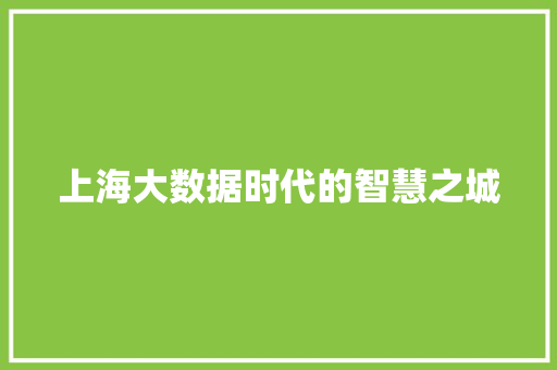 上海大数据时代的智慧之城