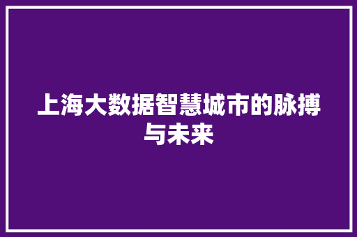 上海大数据智慧城市的脉搏与未来